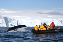 Antarctica Family Holidays