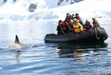 Cheap Antarctica Holidays