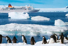 How to Visit Antarctica